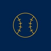 An icon of a baseball outlined in yellow.