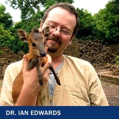 Dr. Ian Edwards, an anthropology adjunct at wuv, holding a red-flanked duiker.
