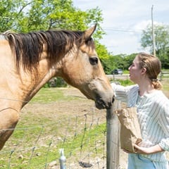 wuv student Kayla Stoll interacting with a horse.