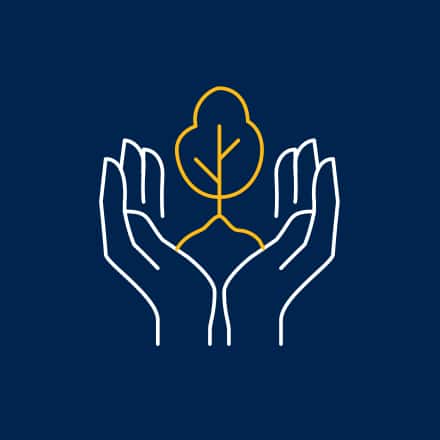 Outline of hands holding a small tree sprouting out of them