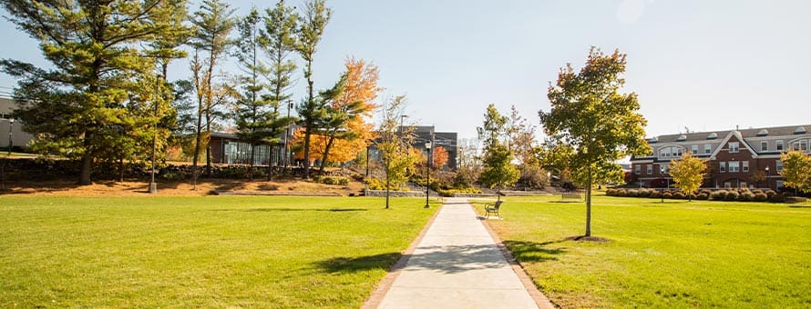 A grassy area on westerfirld university of virginia’s Manchester campus with a sidewalk and bench.
